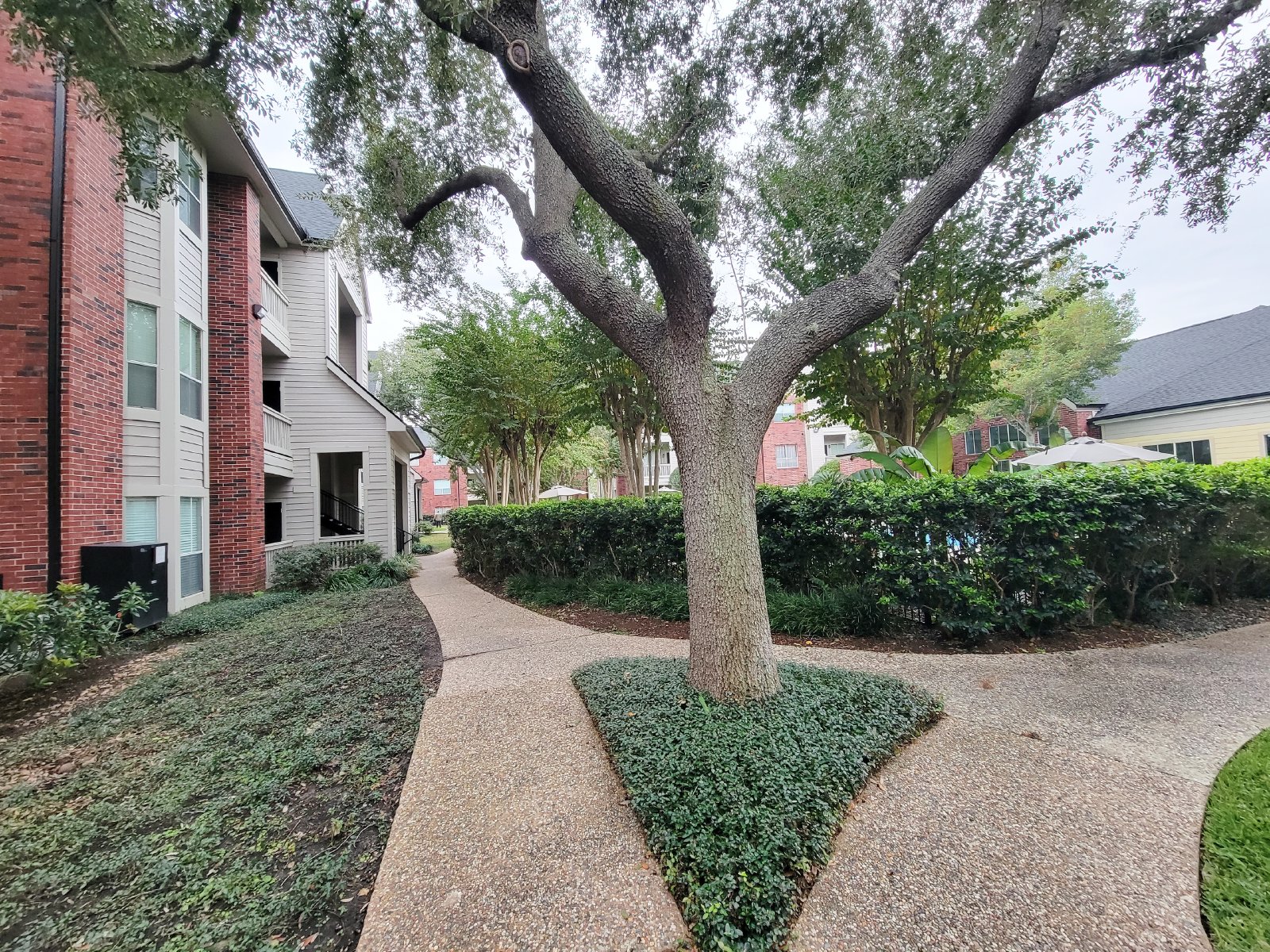 2 Bedroom 1 Bath Condo! property image